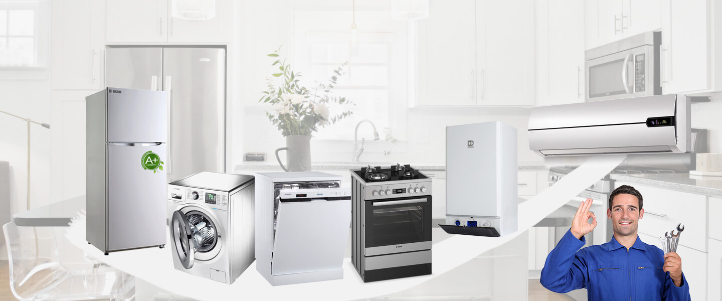 Bayramiç Electrolux Servisi